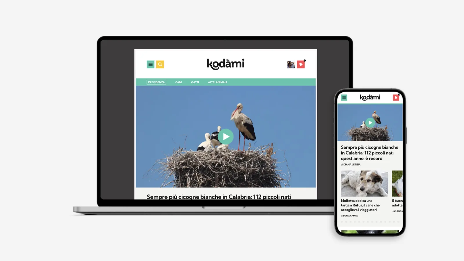 Articolo video di Kodami su portatile e telefono, apertura a tutta larghezza