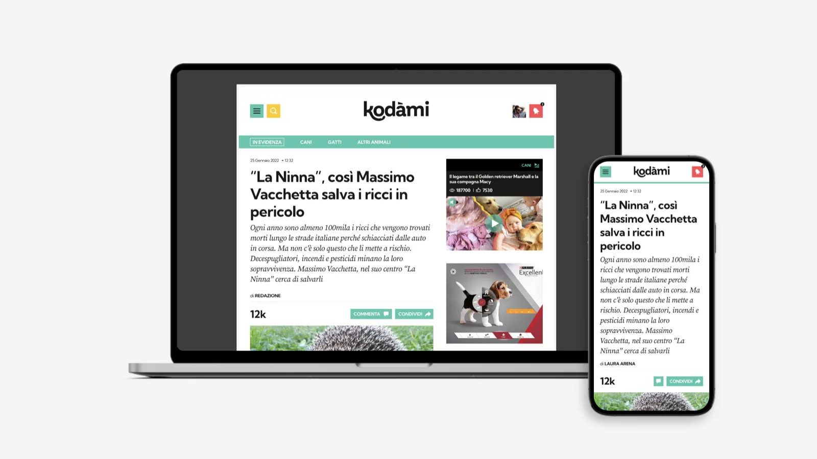 Articolo di Kodami su portatile e telefono, con il modulo dei correlati a fianco del testo